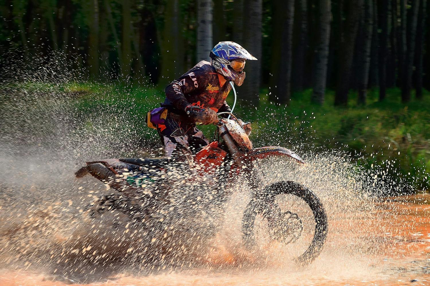 Det perfekte øjeblik Crossrytter actionfoto